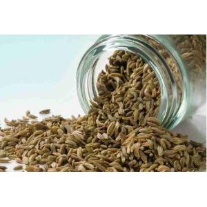 FENNEL SEEDS ANGELINI 80 GR