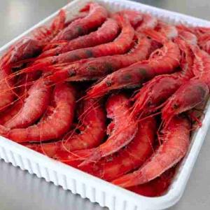 GAMBERO ROSSO III 35/45 ORTIGIA 1 KG