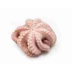 POLPO 1200/1500 IQF T5 MAROCCO 12 KG