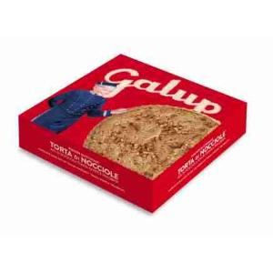 TORTA ALLE NOCCIOLE GALUP 300 GR