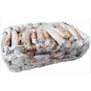 CALAMARO C4L BLOCCO SPORCO PATAGONIA (al kg)