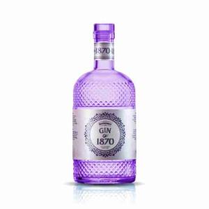 GIN 1870 BLUEBERRY DRY BERTAGNOLLI 70 CL