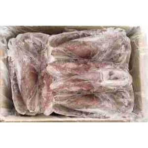 CALAMARO MAROCCO 3P INVOL. 13/17 CM 6 KG