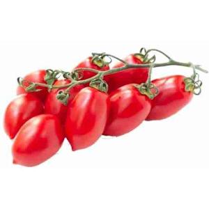 POMODORO PICCADILLY CAT.I (al kg)