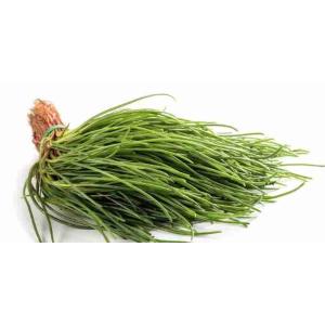 AGRETTI (al kg)