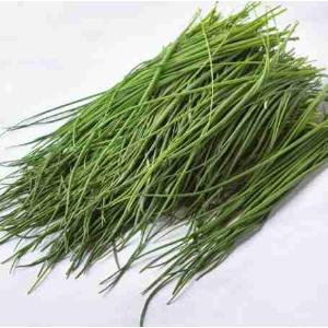 ERBA CIPOLLINA CASSETTA