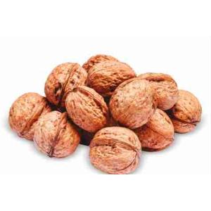 NOCI FRESCHE 34+ ITALIA (al kg)