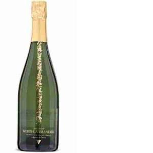 CHAMPAGNE BLANC DE BLANCS BRUT NATURE LARMANDIER 7