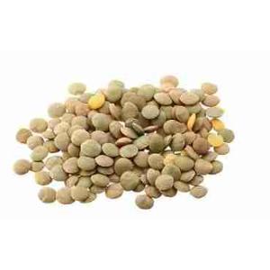 GIANT LENTILS (per kg)