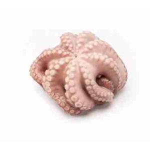 POLPO MAROCCO CRUDO FIORE -1000 IWP MOYSEAFOOD...