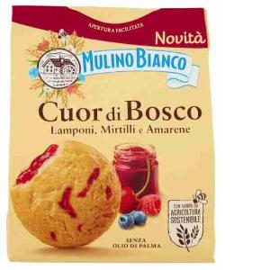 EXPO CUOR DI BOSCO MULINO BIANCO 300 GR x 48