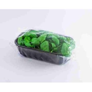 TORNESE BASILIKUM 30 GR