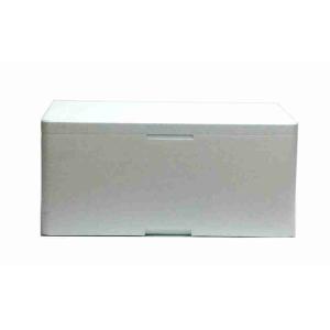 GREEN THERMAL CONTAINER GN 1/1 H.24 IN POLYSTYRE