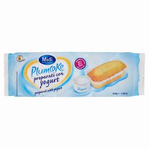 PLUMCAKE YAOURT X6 MIDI 210 GR