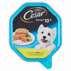 PATE'CANE SENIOR 10+ HUHN/CESAR-REIS 150 GR