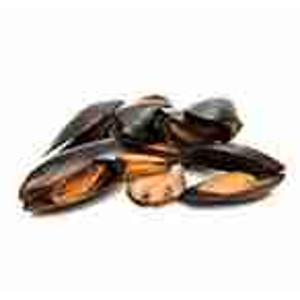 COZZE/MITILI ITALIA (al kg)