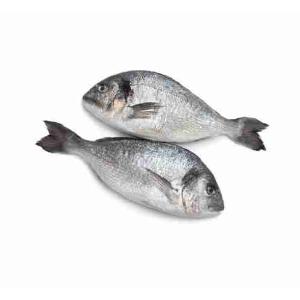 1RATA INT. 300/400G FRS SFS (al kg)