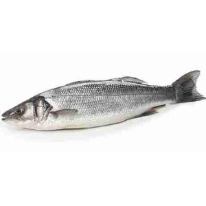 BRANZINO/SPIGOLA INT. 1200/150 1,75 KG (al kg)