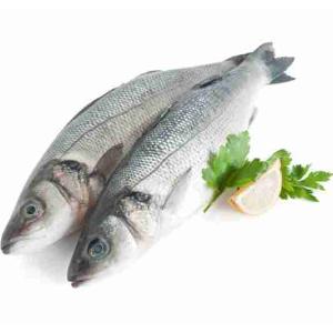SPIGOLA INT. 300/400G GRECIA FRS SFS (al kg)