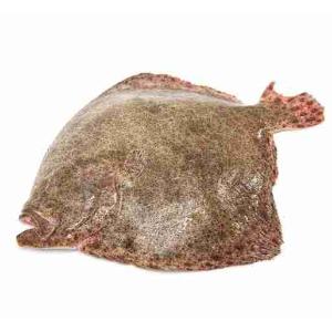 ROMBO CHIODATO 1000/1500 (al kg)