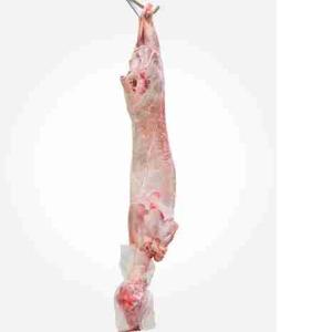 AGNELLO BUSTO CNG (al kg)