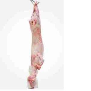 CAPRETTO BUSTO 5/6KG C/TESTA SFS (al kg)