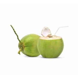 NOCE DI COCCO DA BERE