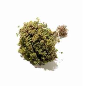 ORIGANO MAZZETTO 40 GR