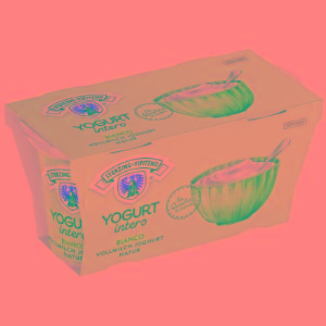 YOGURT INTERO BIANCO VIPITENO 125 GR x 2