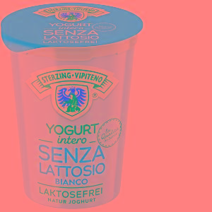 YOGURT INTERO BIANCO SENZA LATTOSIO VIPITENO 500 G