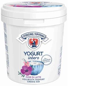 YOGURT FIOR DI LATTE VIPITENO 1 KG