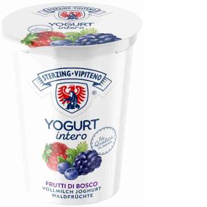 YOGURT FRUTTI DI BOSCO VIPITENO 500 GR