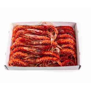 GAMBERO ROSSO III CONGELATO (al kg)