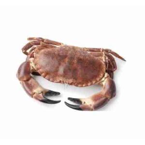 GRANCIPORRO 400/600 CONGELATO (al kg)