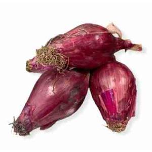 CIPOLLA ROSSA DI TROPEA IGP SECCA (al kg)