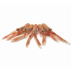 SCAMPI V FRESCO (al kg)
