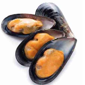 COZZE/MITILI SPAGNA (al kg)