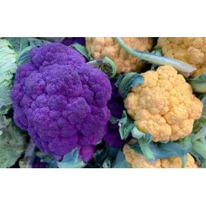 CAVOLFIORE VIOLA/GIALLO (al kg)