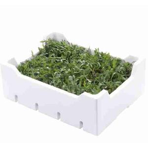 RUCOLA BOX POLISTIROLO NATURIZIA 1 KG