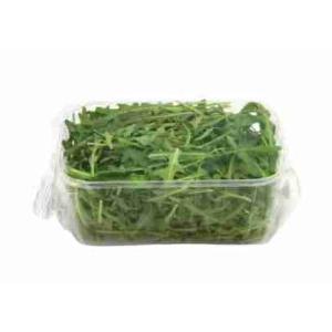RUCOLA VASCHETTA NATURIZIA 100 GR