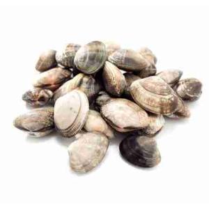 VONGOLE LUPINO SUPER (al kg)