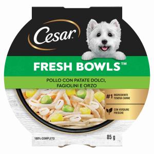 CIBO CANE FRESH BOWLS POLLO E PATATE CESAR 85 GR