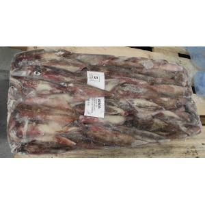 CALAMARO S SUD AFRICA BLOCCO (al kg)