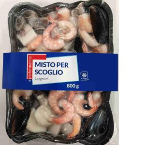 PREPARATO PER SCOGLIO VASCHE PERFORMANCE 800 GR