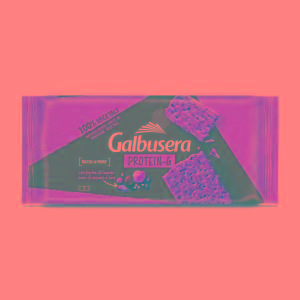 CRACKER PROTEIN-G SEMI SESAMO E LINO GALBUSERA 280