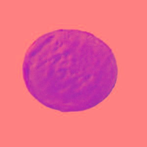 CRESPELLE NATURALI SURGITAL 1,8 KG