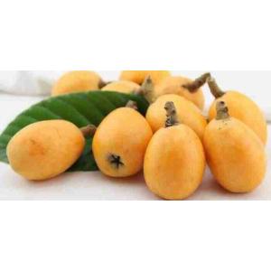 NESPOLE II OR.SPAGNA (al kg)