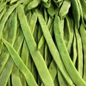HARICOTS VERTS LOCAUX (par kg)