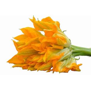 FIORI DI ZUCCA VASSOIO PROV.IT CAT.I