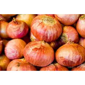CIPOLLA RAMATA SECCA (al kg)